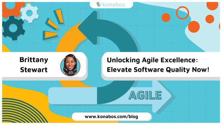 A banner indicating Brittany is the author of this blog and discusses the elevation of the agile experience.