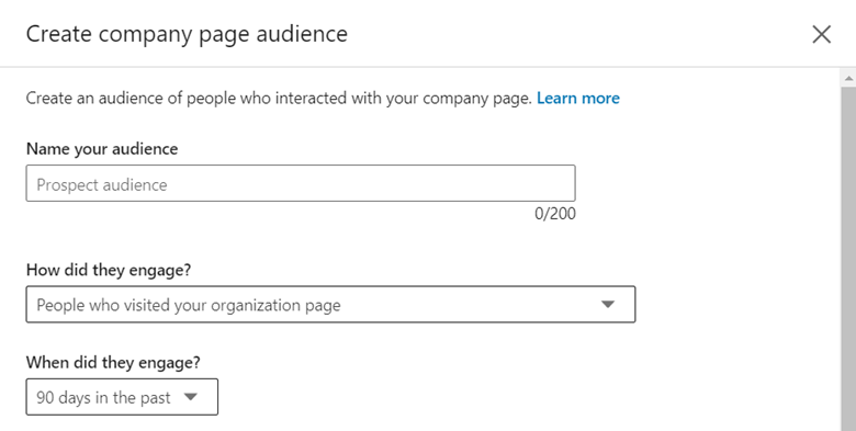 Create Company Page Audience on LinkedIn