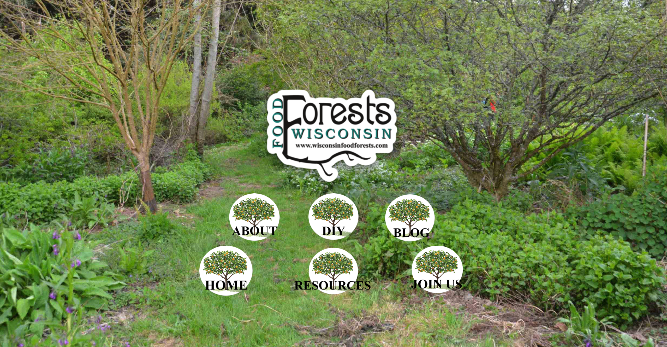 Food forest image