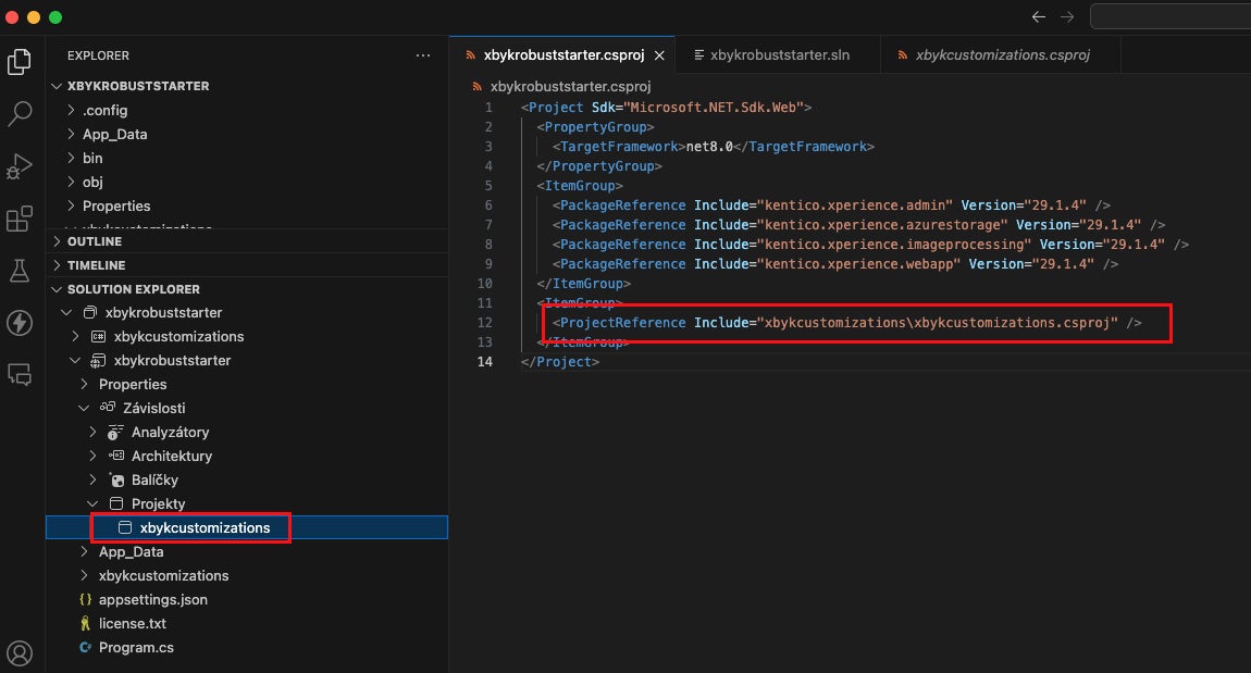 Customization project as reference in the main project