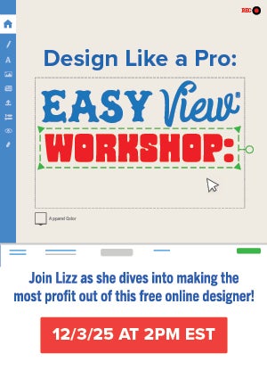 Easy View workshop webinar