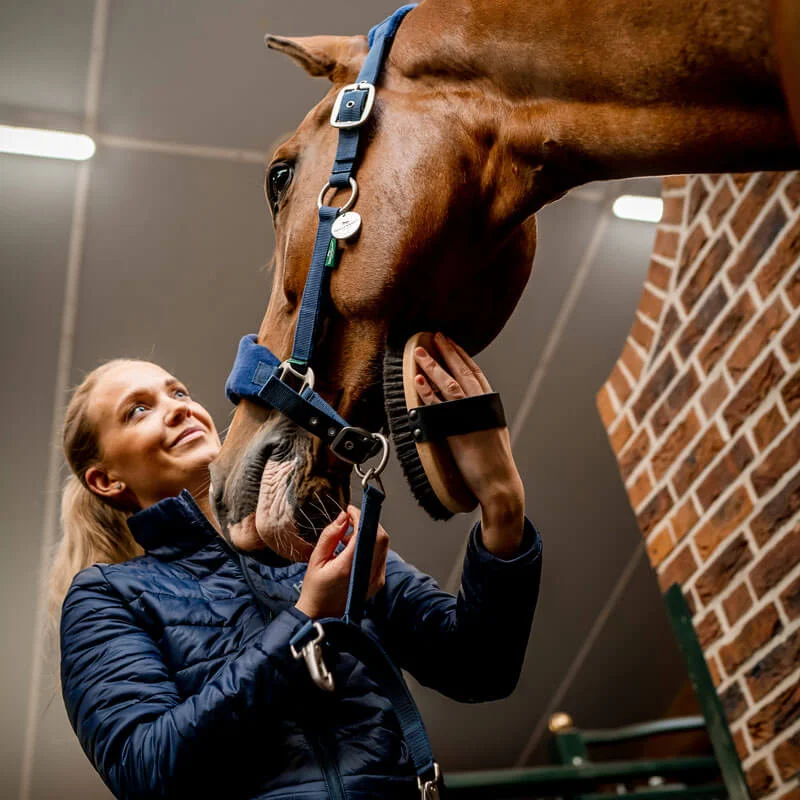 Signature Grooming Headcollar