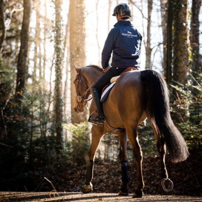 Horseback riding vacations