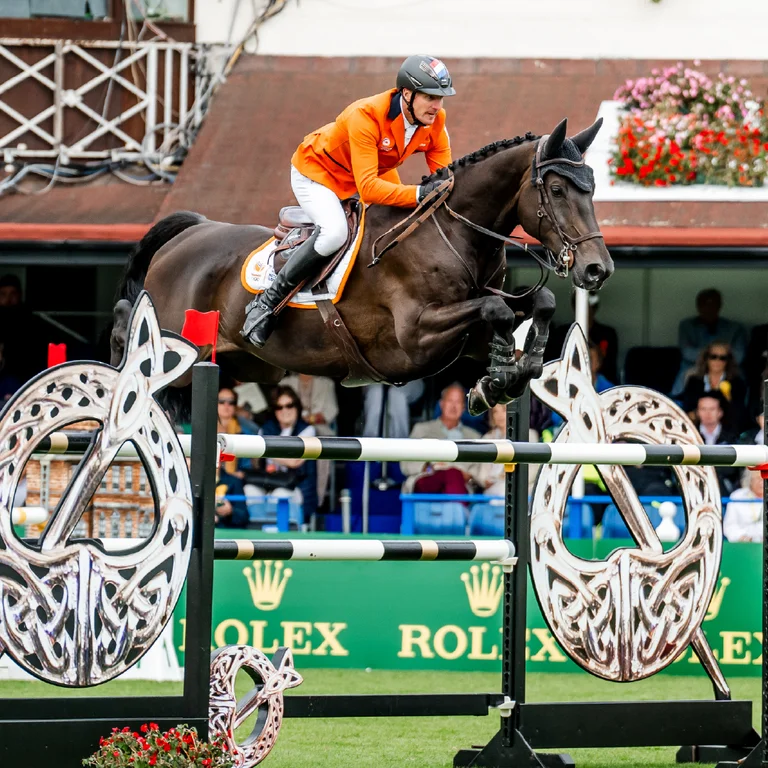 RDS Dublin Horse Show