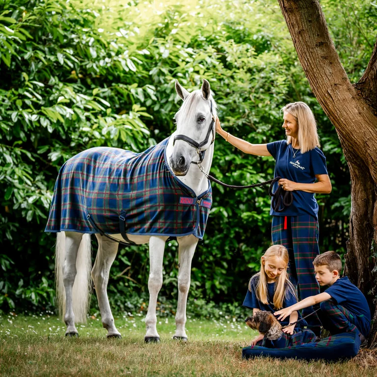 Horse Christmas Gifting
