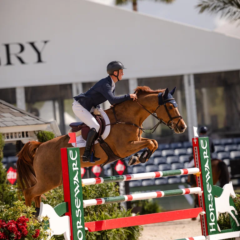 WEF Horseware Jump