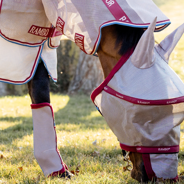 Rambo Protector with Rambo Plus Fly Mask and Horseware Fly Boots