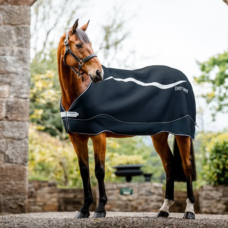 Der Horseware Dry Liner - eine Anleitung