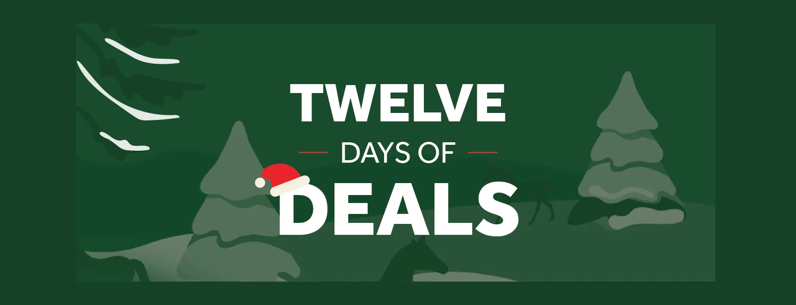Twelve Days of Deals