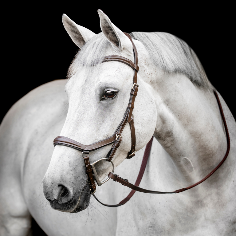 Micklem Bridle Perfect Fit