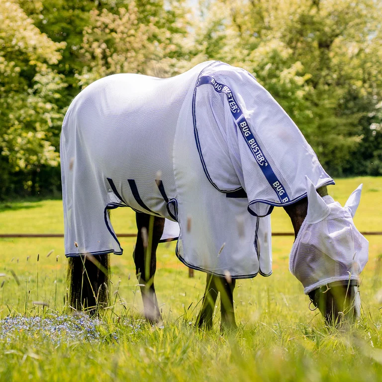 Chemises anti-mouches : Comment choisir la bonne pour votre cheval