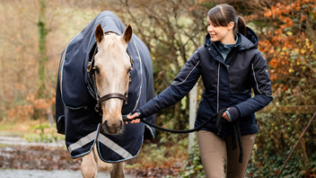 A Guide to Bringing Home Your New Horse