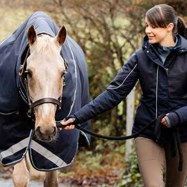 New Horse