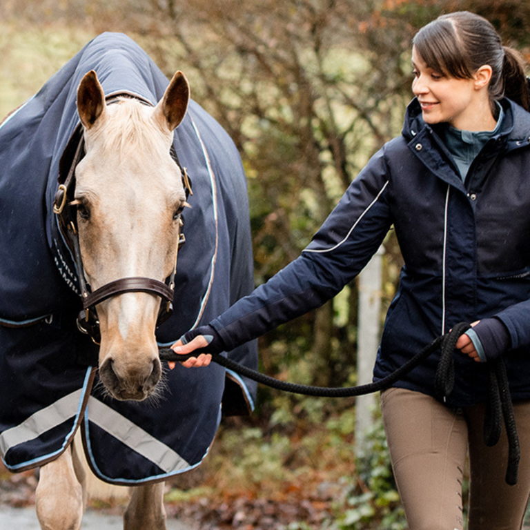 Ramener votre nouveau cheval à la maison : guide