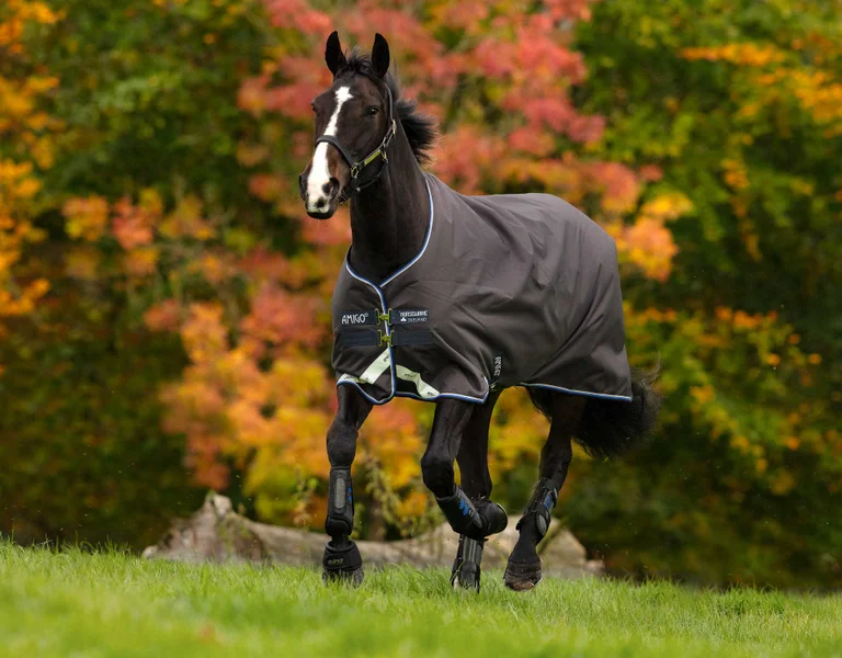 Rugging Guide Part Two: Factors Influencing the Type of Rug Your Horse Needs