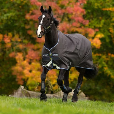 Rugging Guide Part Two: Factors Influencing the Type of Rug Your Horse Needs