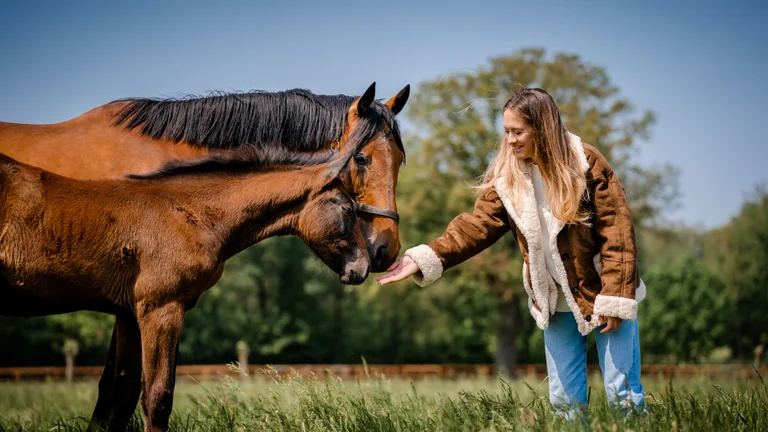 A woman feeding a horse and her foal in a field