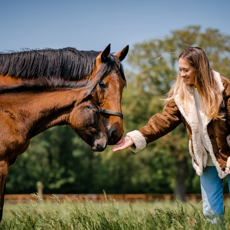 A woman feeding a horse and her foal in a field