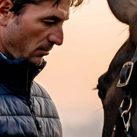 Steve Guerdat, a True Horseman, Through It All.