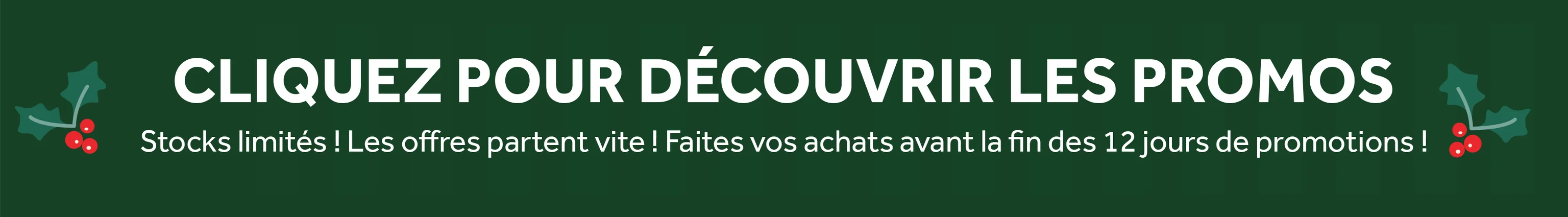 Les 12 jours de promotions