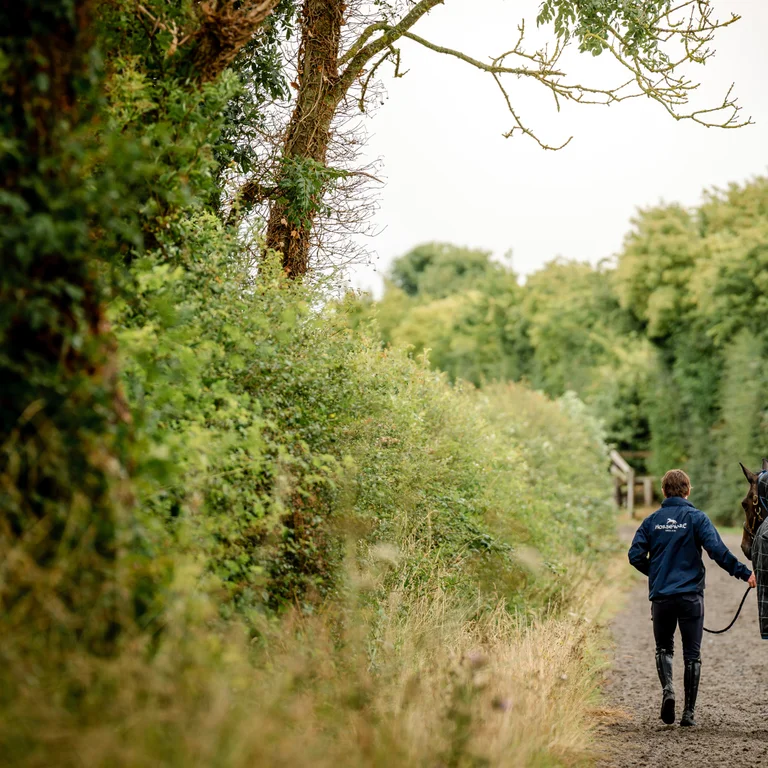 Trainer leading a horse down a trail