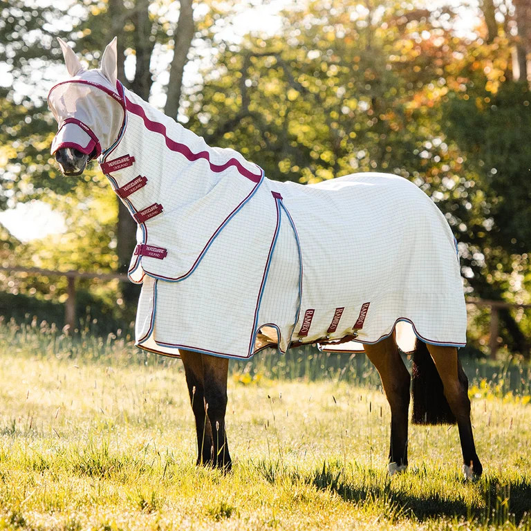 Sun Protection for Horses: UV and Preventing Sunburn