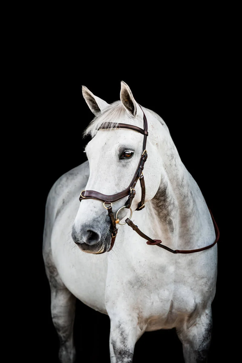 Benefits of using a Micklem Bridle