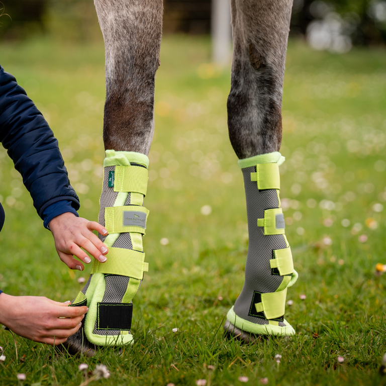 Everything You Need to Know About Horse Fly Boots