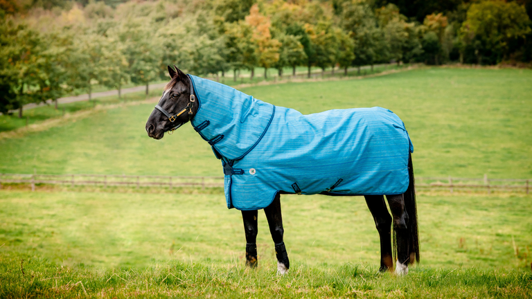 Sustainable equestrian horse blanket