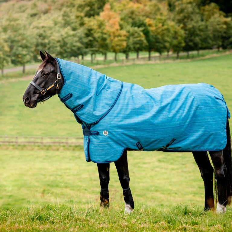 Sustainable equestrian horse rug
