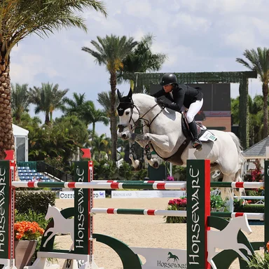 Behind-the-Scenes at WEF Horseware Week