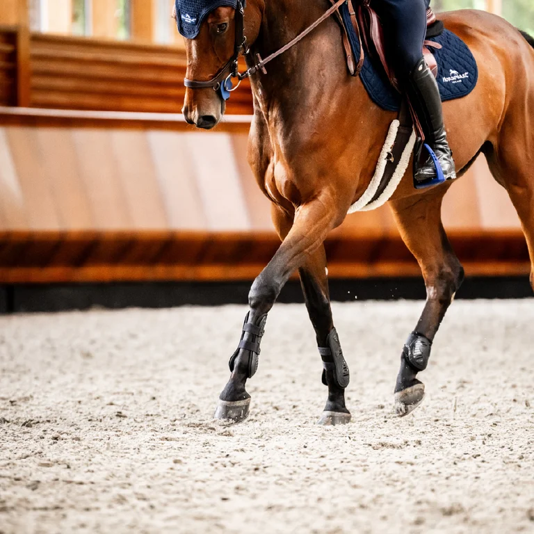 Cheval en bottes d'exercice s'entraînant dans l'arène