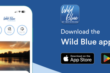 Wild Blue App.png