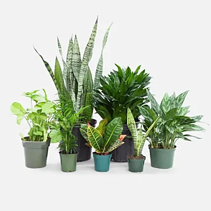shoppable-item
