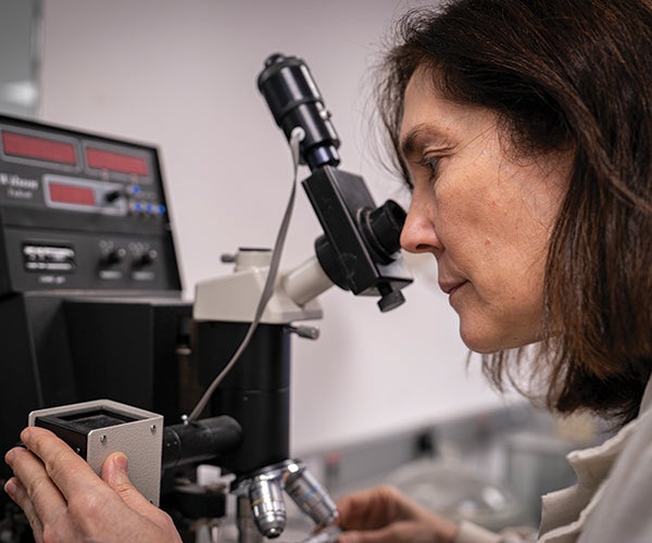 Female worker looking through microscope