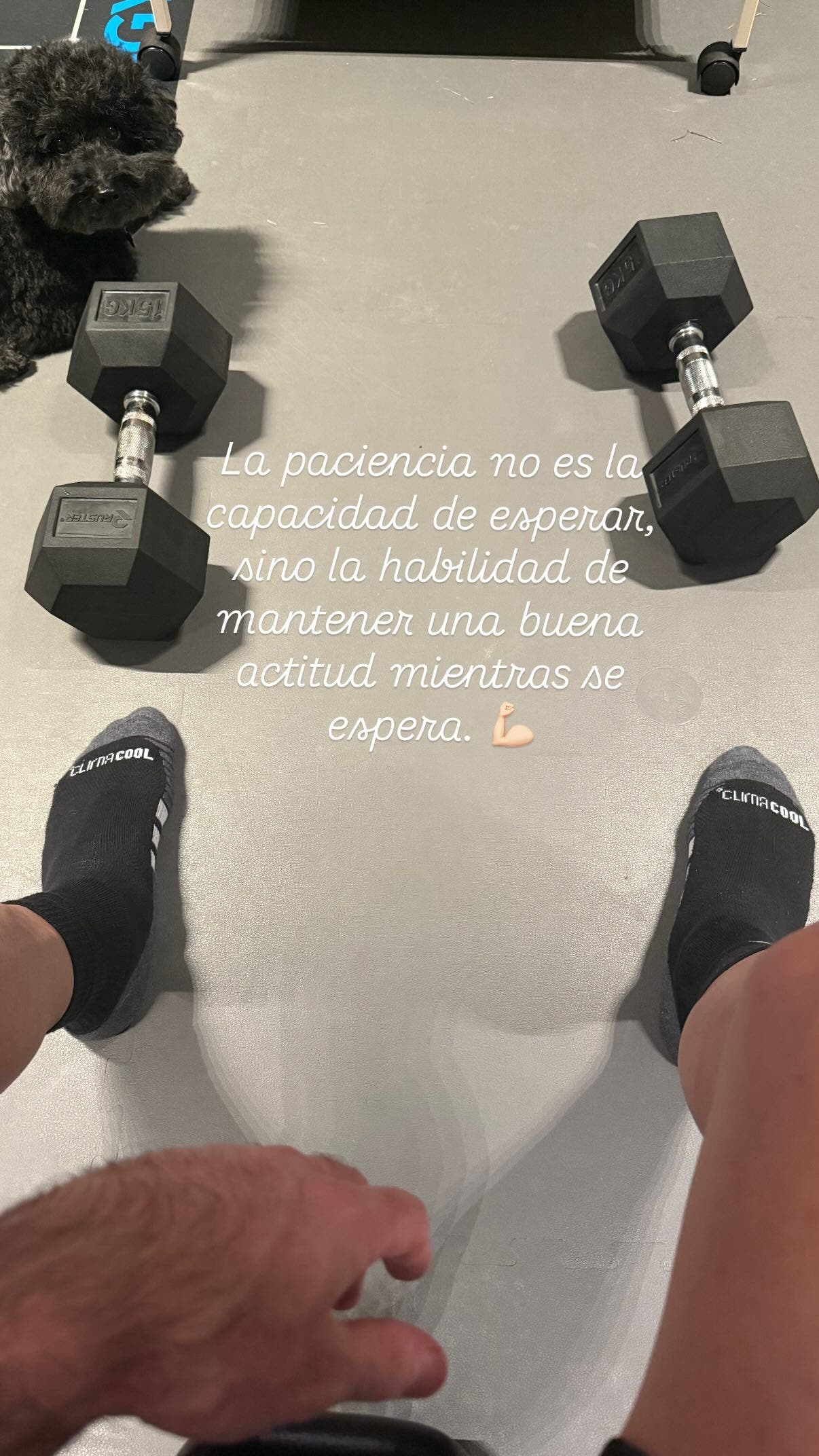 Dani Carvajal Instagram.