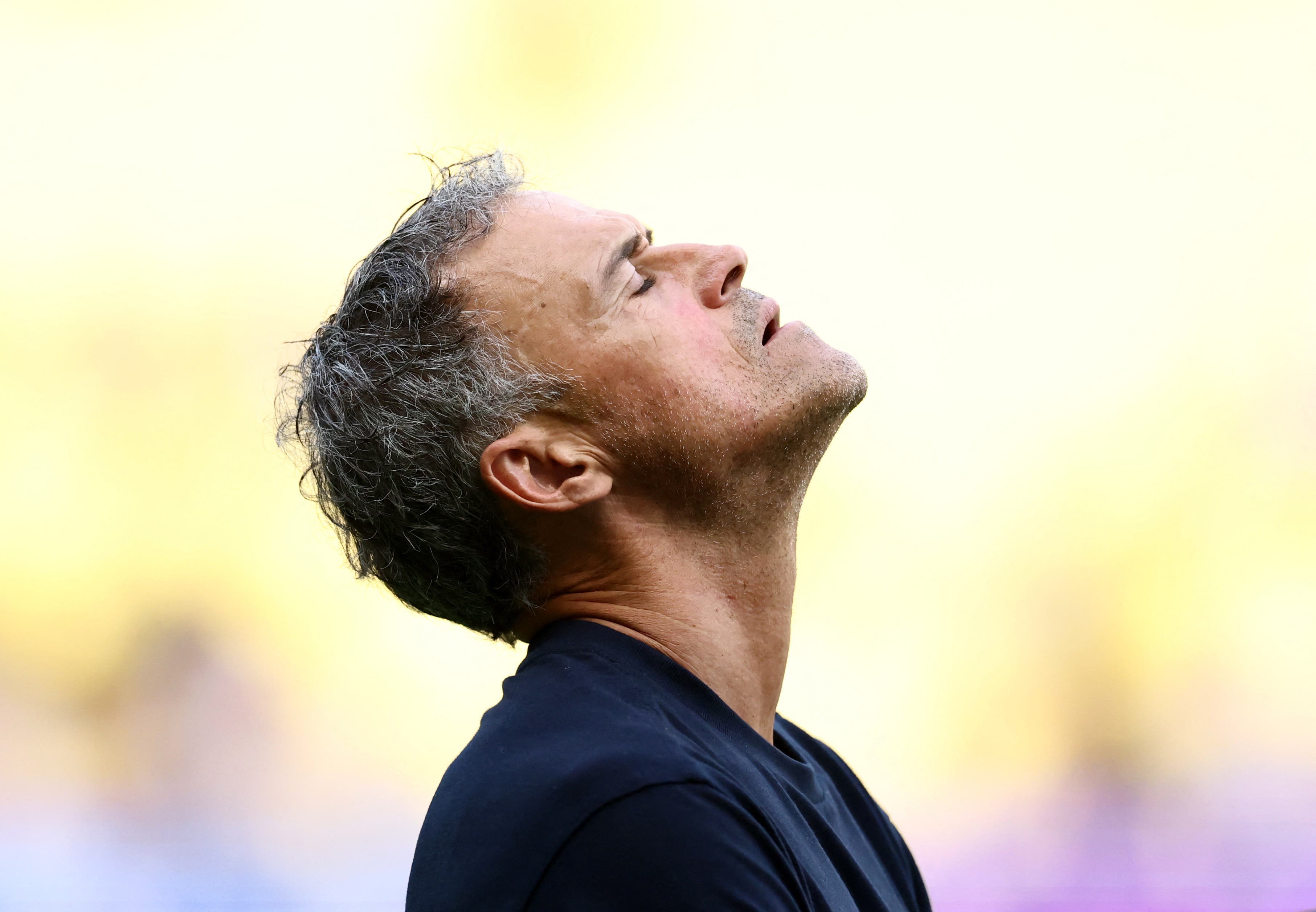 Luis Enrique