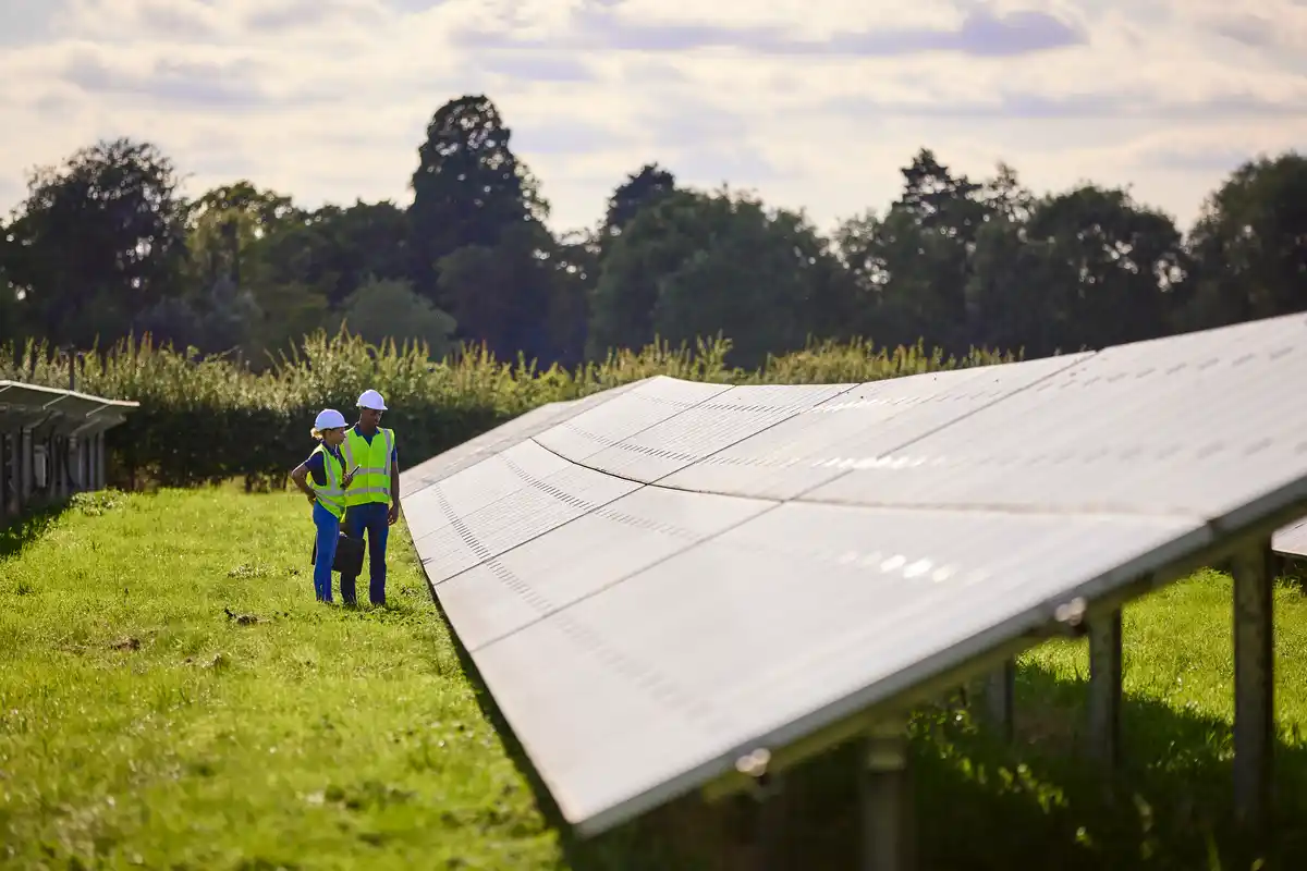 Two engineers looking at large solar panels at a field.