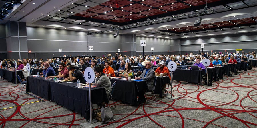 Delegate Assembly 2025