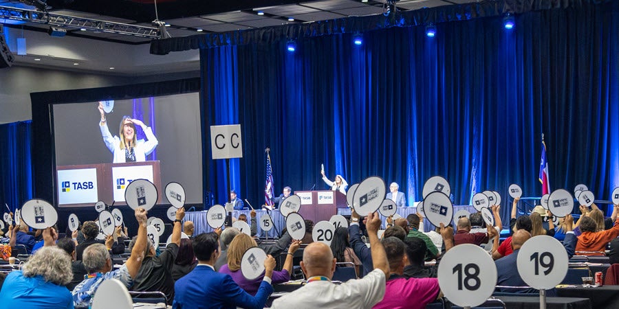 2025 Delegate Assembly Vote