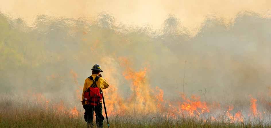 Firefighter fighting wildfire