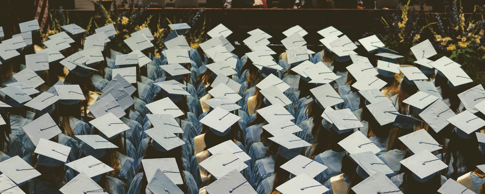 crowd of graduates