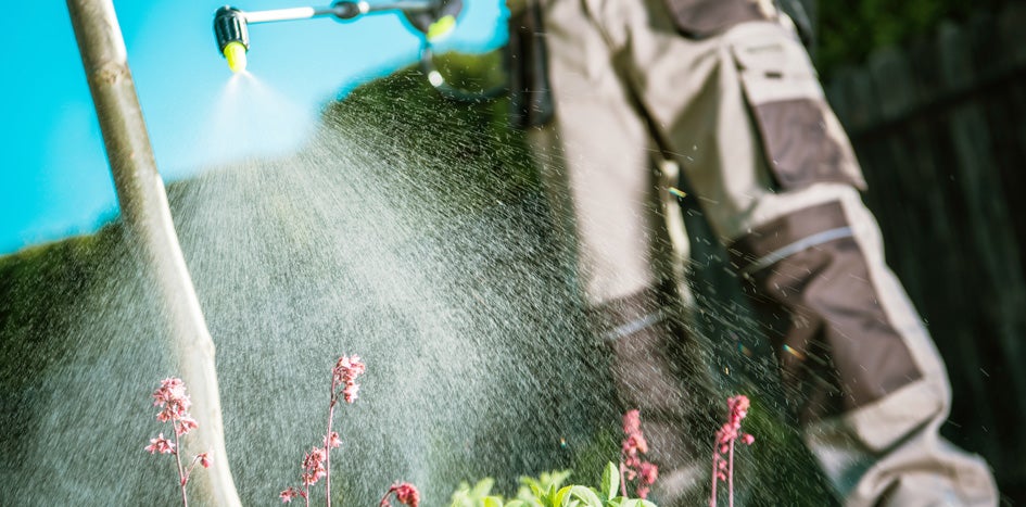 Employee spraying pesticide