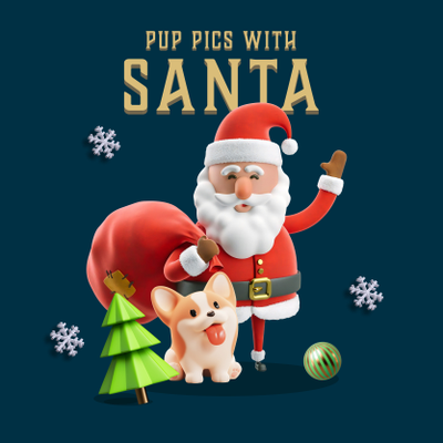 Pet Santa