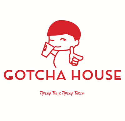 GotCha House 