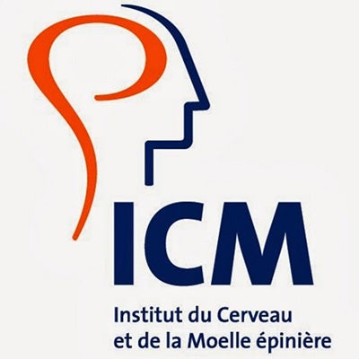 Logo ICM