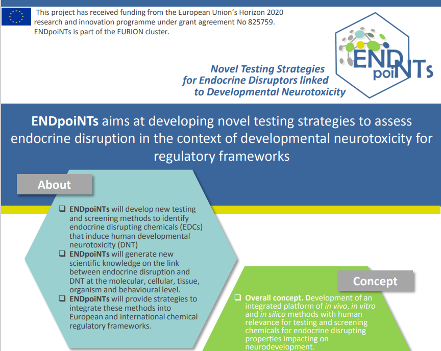 Flyer ENDpoiNTs project