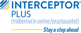 Interceptor Plus – Stay a step ahead
