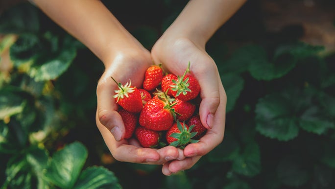 are-strawberries-good-for-gut-health.jpg