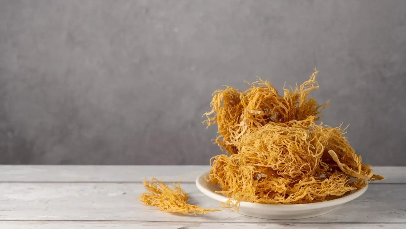 Sea moss on table